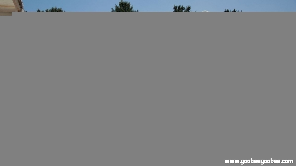 1f2c81bfb3c50a5043af6daec859411c_1508042754_8876.jpg