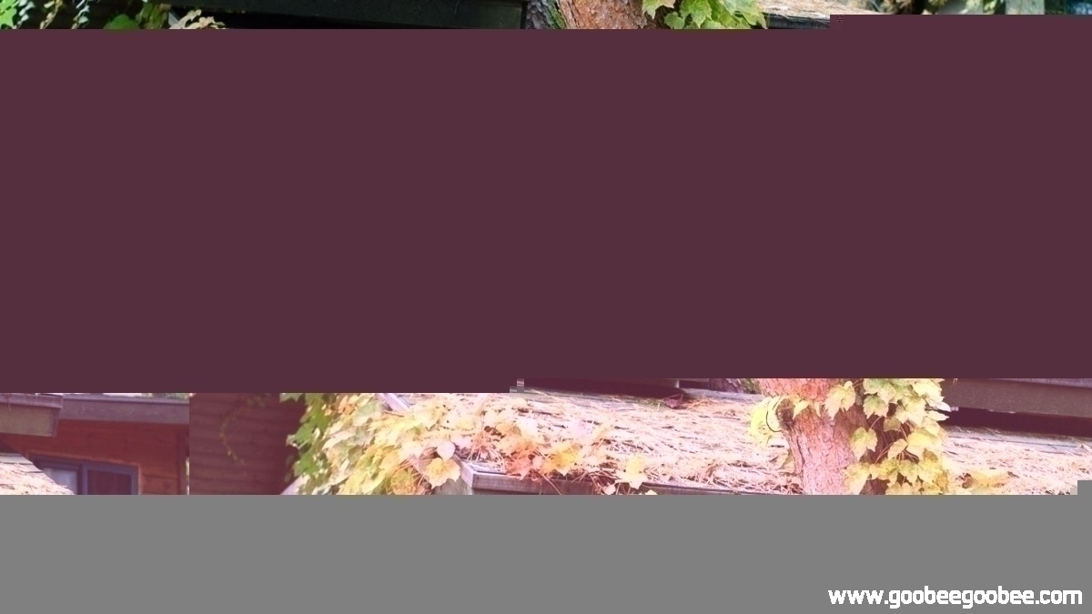 1f2c81bfb3c50a5043af6daec859411c_1508044518_9677.jpg