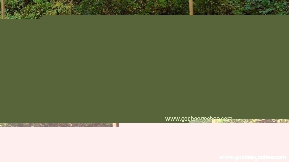 1f2c81bfb3c50a5043af6daec859411c_1508044639_6799.jpg
