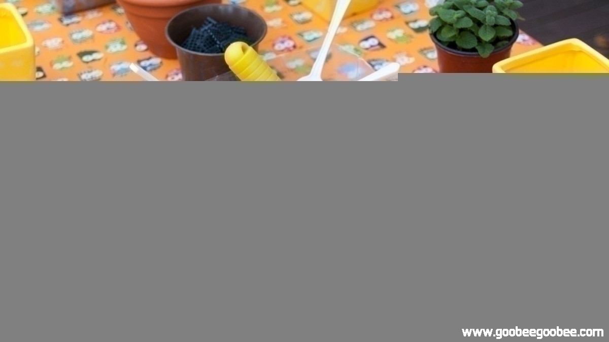 1f2c81bfb3c50a5043af6daec859411c_1508044639_9595.jpg