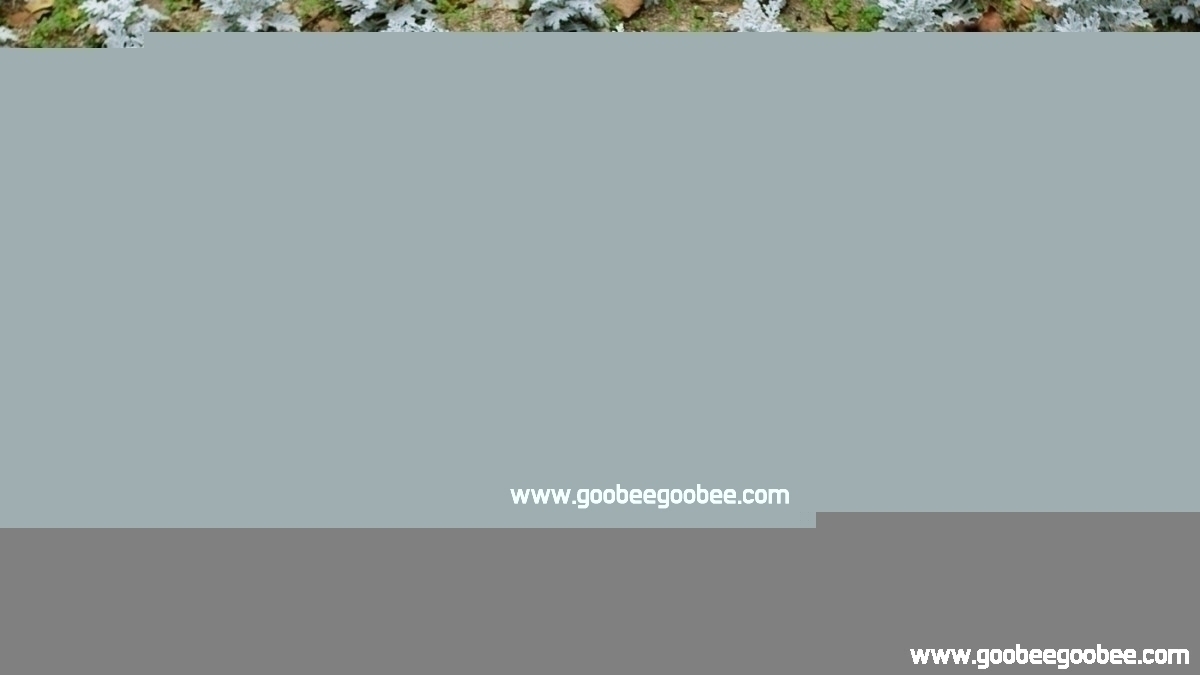 1f2c81bfb3c50a5043af6daec859411c_1508044684_5107.jpg
