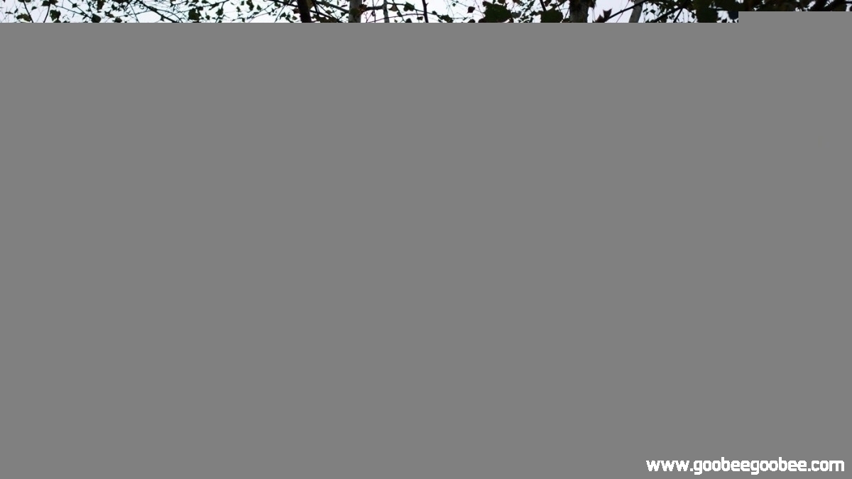 1f2c81bfb3c50a5043af6daec859411c_1508044684_7182.jpg