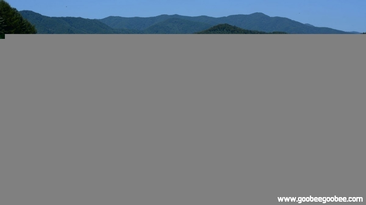 4b5305ba487ce7f43a096a052e4a5f3d_1508237580_6388.jpg