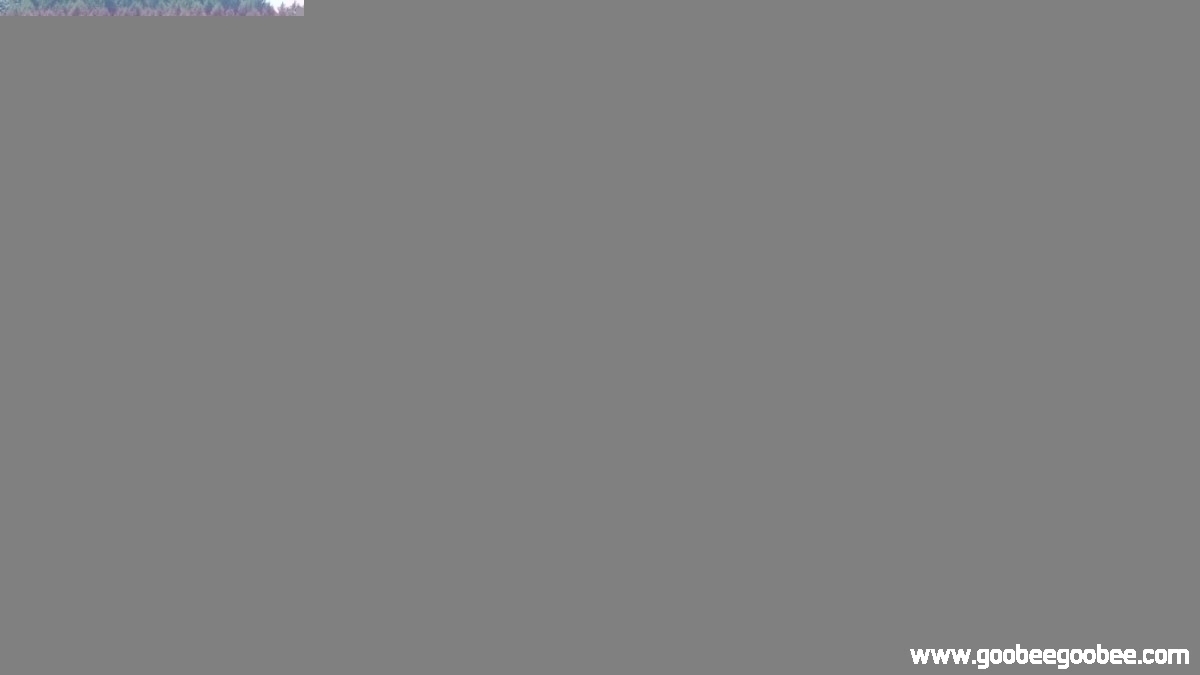 4b5305ba487ce7f43a096a052e4a5f3d_1508237594_9814.jpg