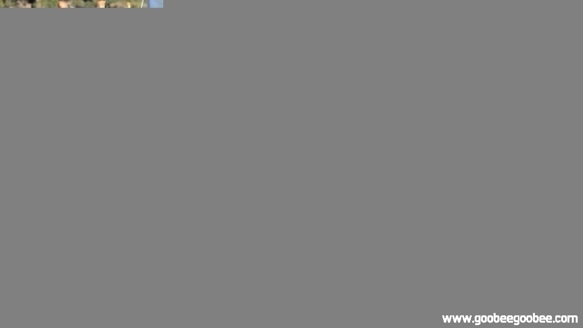 5a69e9992918fa96fa5b1be0239f23e9_1509067635_9531.jpg