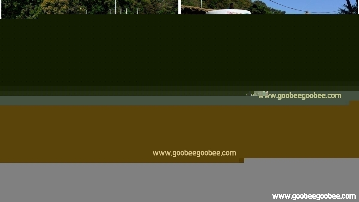 5a69e9992918fa96fa5b1be0239f23e9_1509067858_4136.jpg