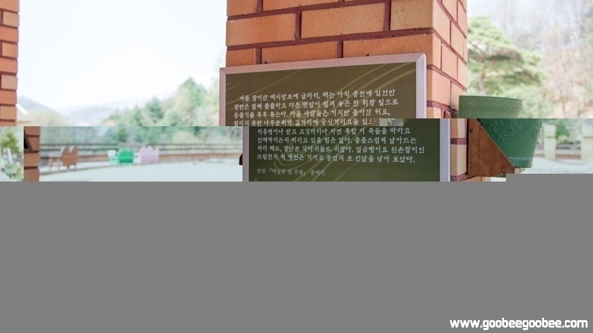 a703a9e2a4944159488caf78578e8f4b_1507963807_8204.jpg
